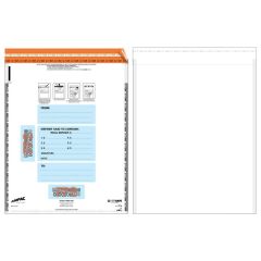 KeepSafe® Opaque Cash Control Plastic Bag 12 in W x 16.75 in H