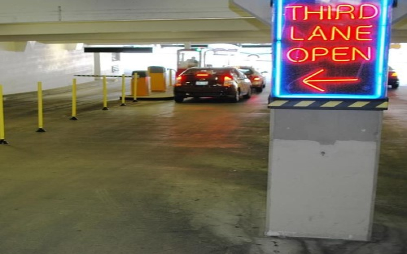 Take Care of Your Gorillas!