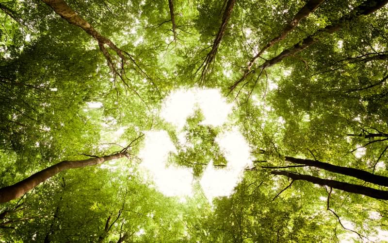 Recycled Materials are Green in More Ways Than One